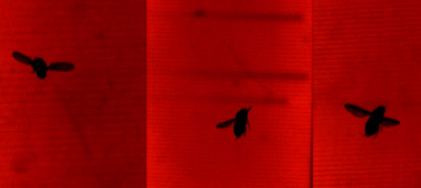 界 ---记2013国家自然科学二等奖获得者孙茂教